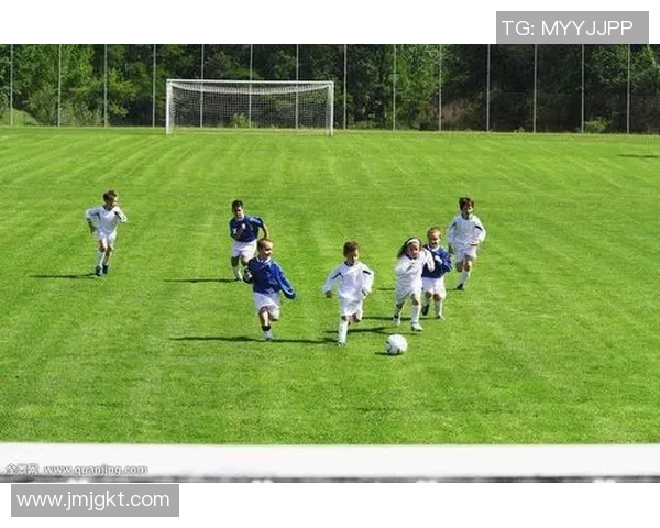 全球足球百大球星全景回顾 榜单背后的传奇与风采